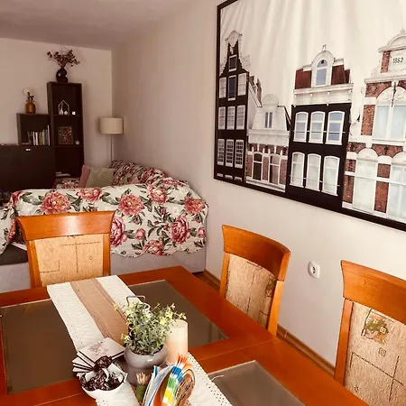 Rhea Apartment With Parking Apartment Plowdiw