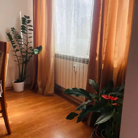 Rhea Apartment With Parking * Plowdiw